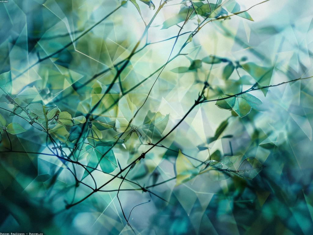 ការអភិវឌ្ឍផ្ទាល់ខ្លួន: ការសំរេចចិត្តព្រមទាំងការកែលម្អខ្លួន